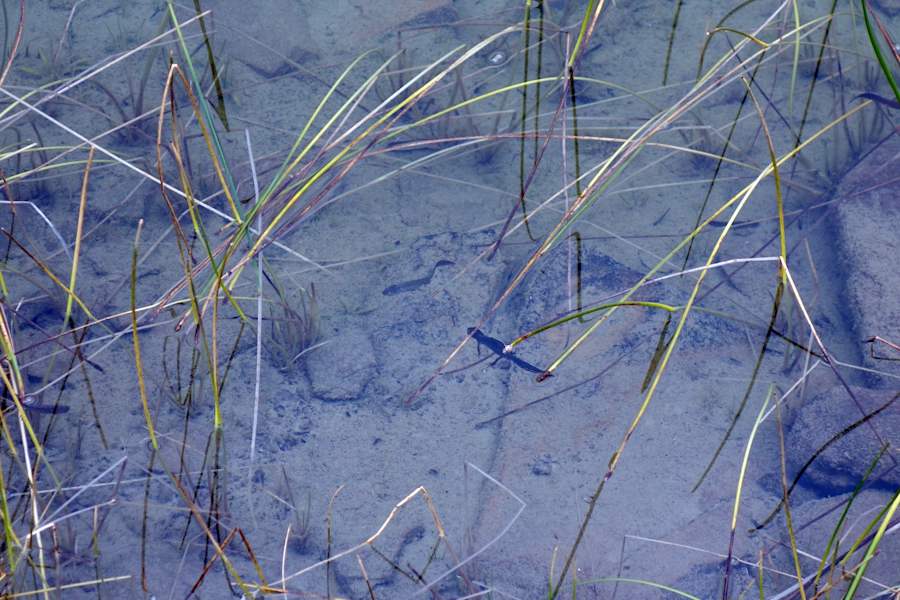 Griechenland Zagoria Trek