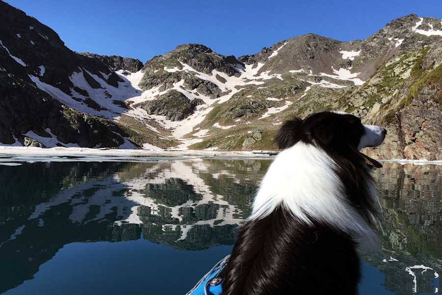 Ana Zirner In 40 Tagen über die Pyrenäen