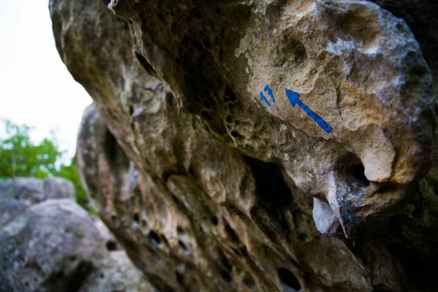 Die Parcours sind durch bunte Markierungen gekennzeichnet