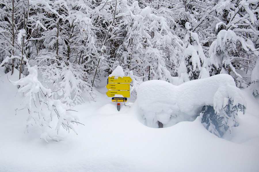 Seefeld Winterweitwanderweg