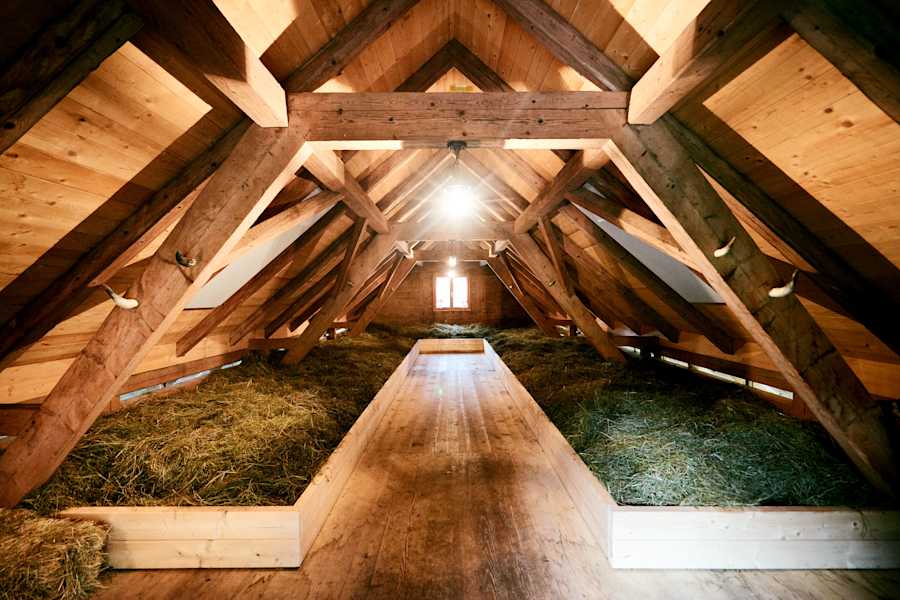 Pilatus in der Schweiz: Alp Unterlauelen