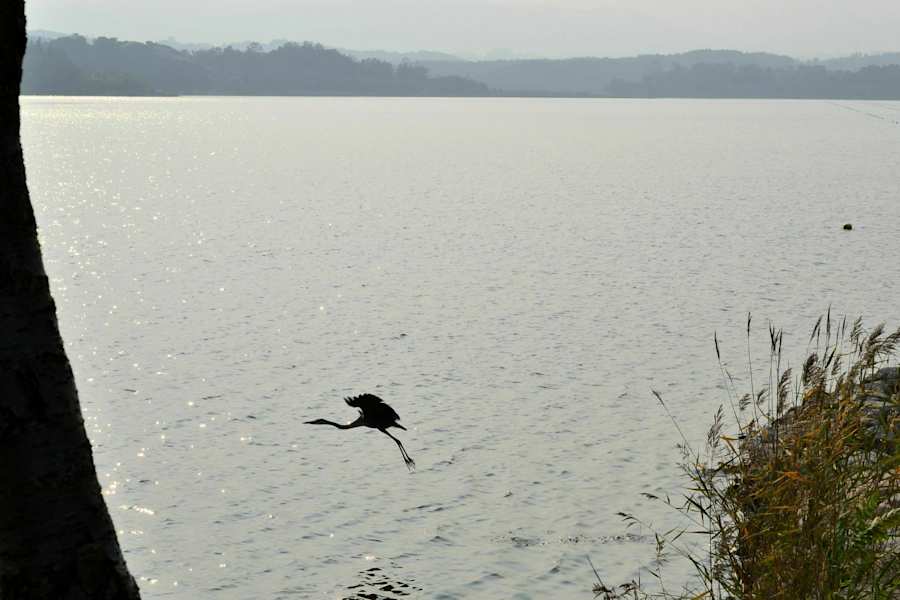 Sokcho Südkorea Seoraksan-Nationalpark