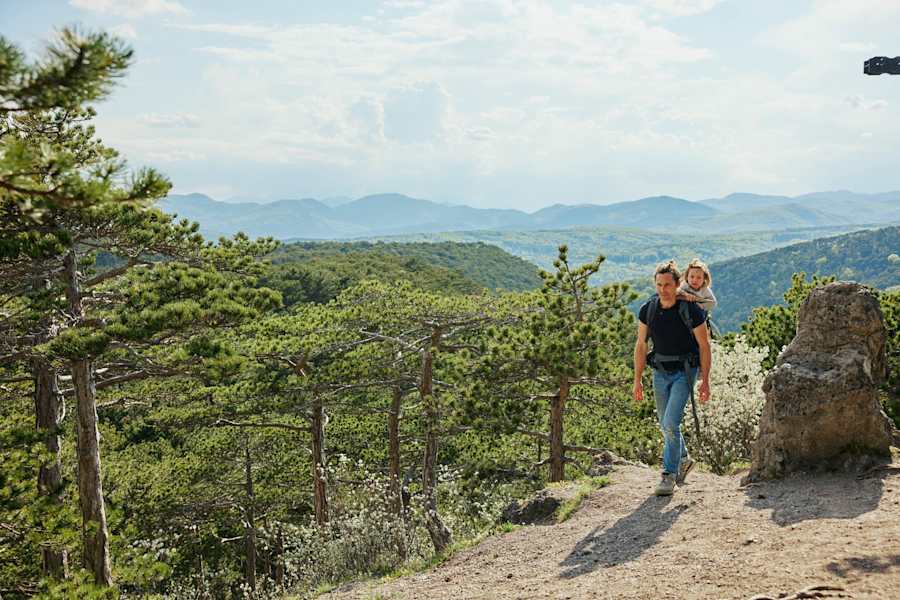 Bei einer Wanderung am Harzberg kann es bereits ganz schön warm werden.