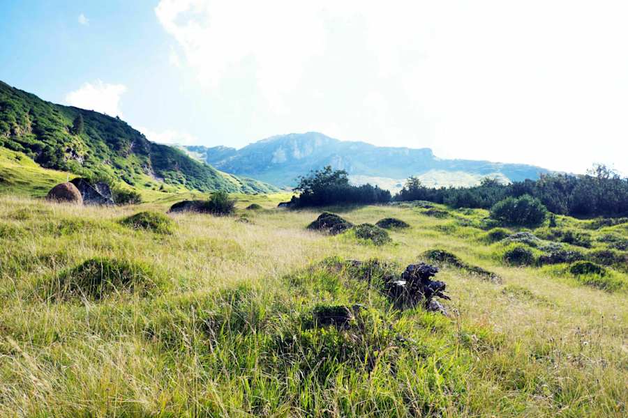 Valsertal: Bergmahd Öfen