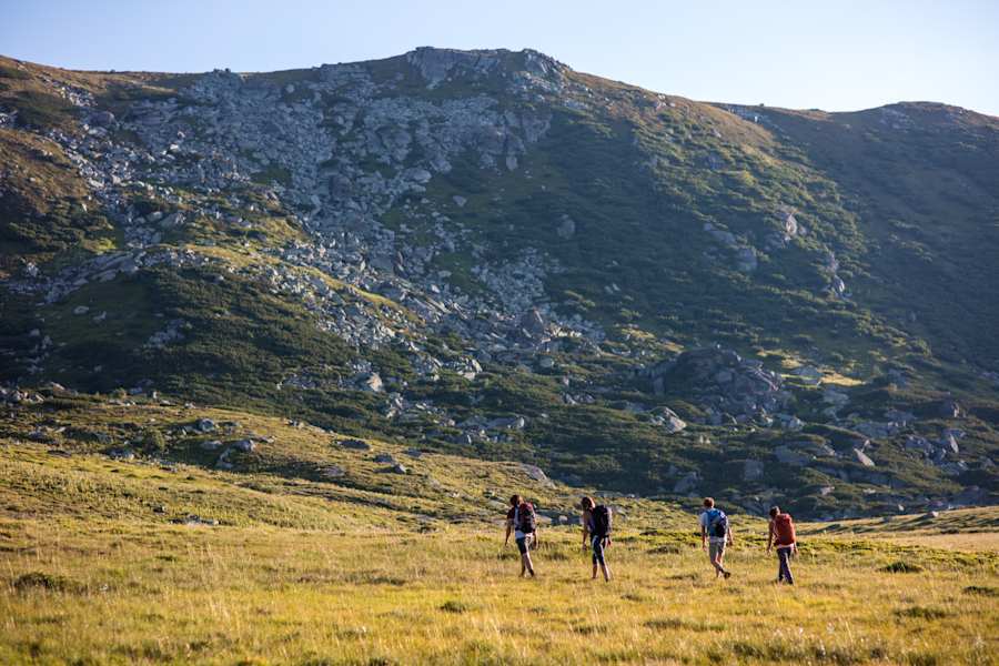 So viele Blöcke, so viele Möglichkeiten