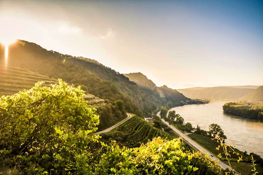 Blick vom Welterbesteig nach Dürnstein