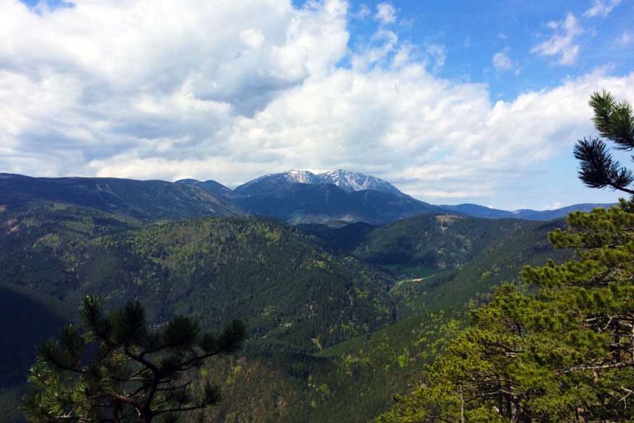 Flatzer Wand - Gösing