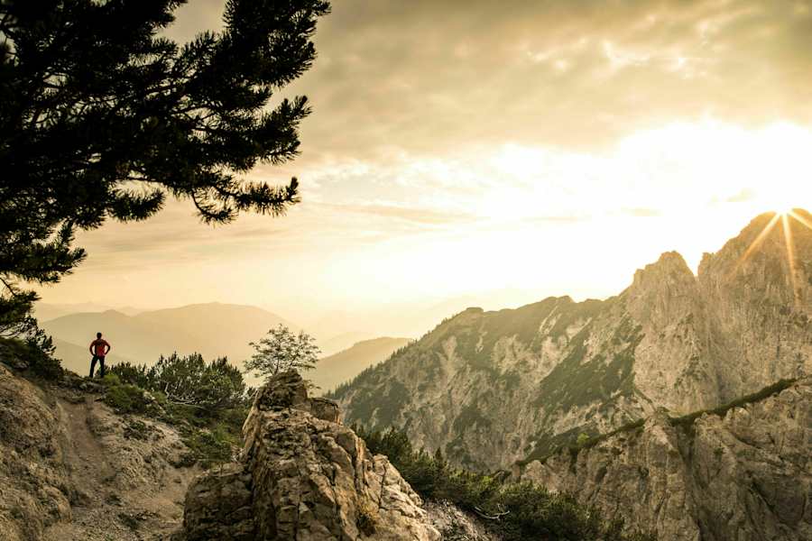 Abendlicht im Krautgartl beim Buchsteinhaus im Gesäuse