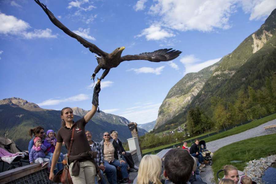 Ötztaler Greifvogelpark