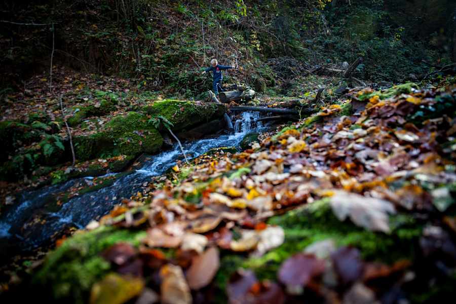 Heiligengeistklamm an der südsteirischen Weinstraße
