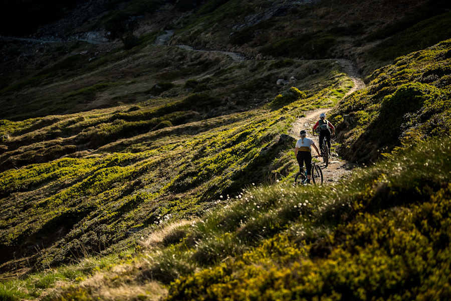 Flowige Linienführung am Hochalm Trail in Saalbach