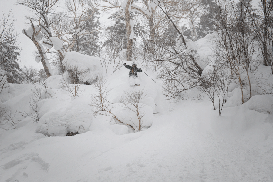 Josh mit einem weiteren Pillowdrop in den Wäldern Kiroros