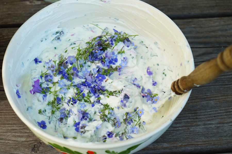 Kräuterwandern: Wildkräuteraufstrich aus Giersch, Löwenzahn und Gundelrebe