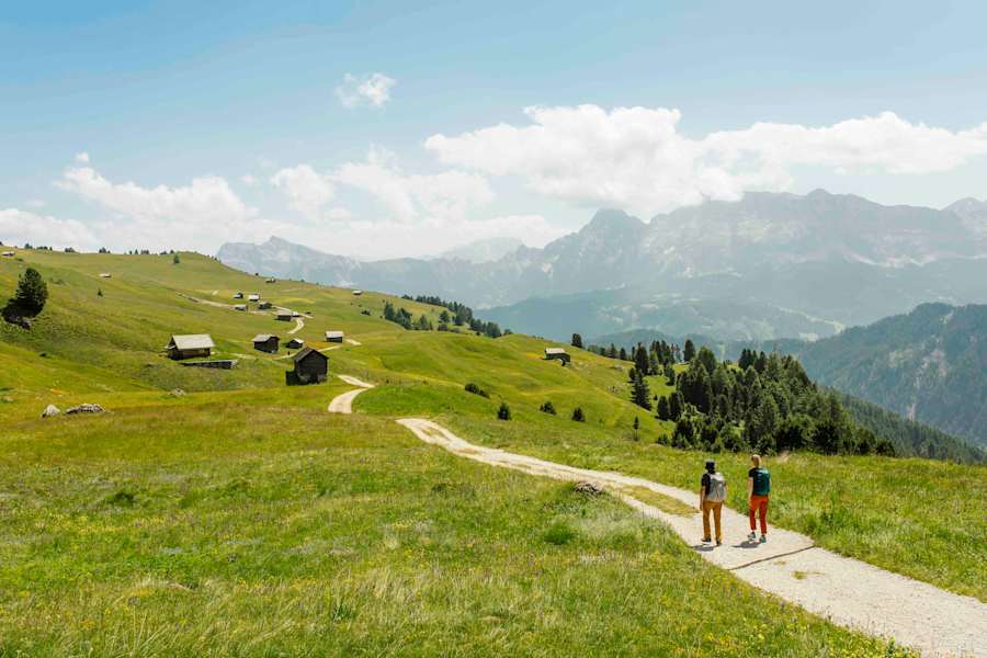 Die Peitlerwiesen am Fusse des Peitlerkofels lassen das Herz von Botanikfreunden höher schlagen.