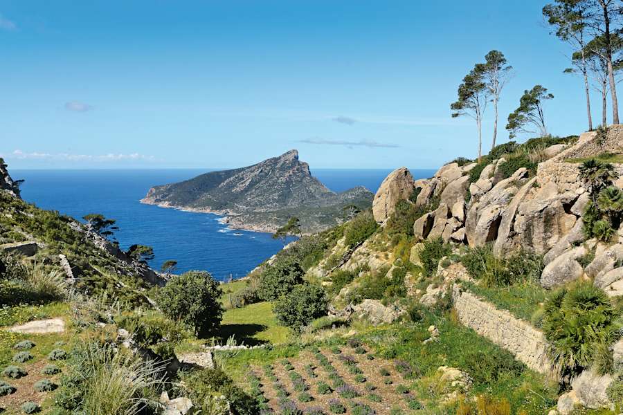 Der Kräutergarten von La Trapa