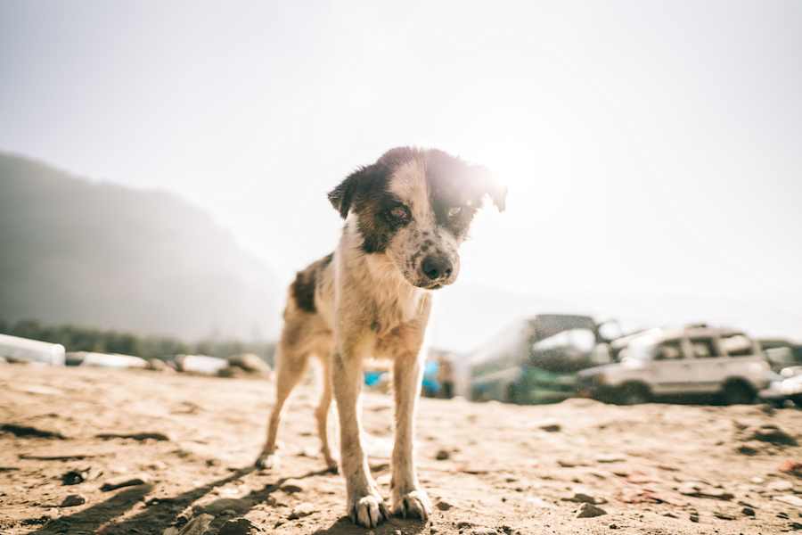 Indien Sri Lanka Fotostrecke