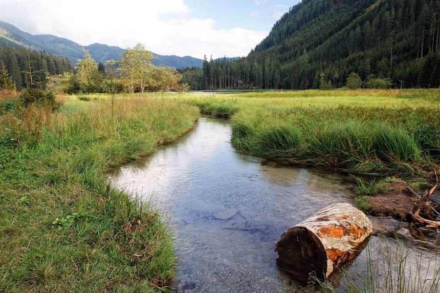 Der Ingeringsee in der Steiermark