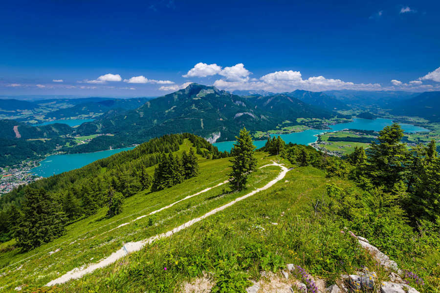 Blick vom Zwölferhorn auf den Wolfgangsee mit St. Gilgen und den Schafberg