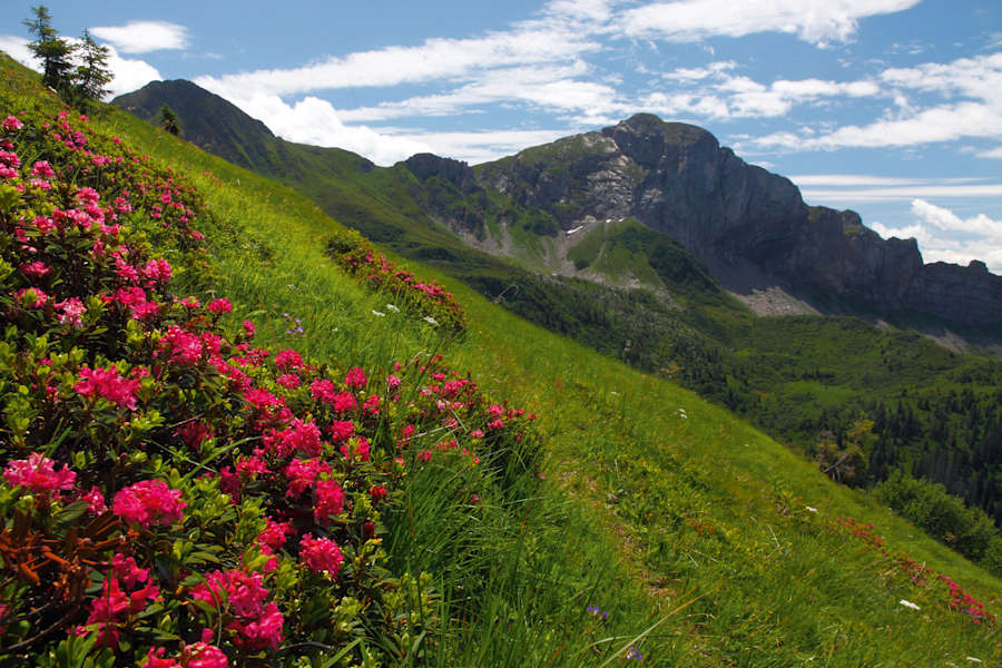 Bergsteigerdorf Mauthen