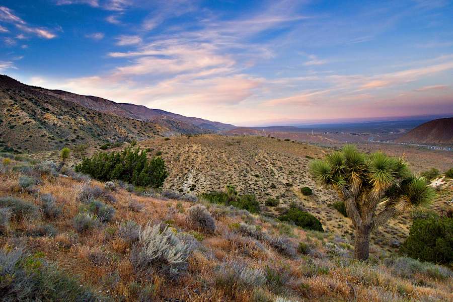 Pacific Crest Trail in den USA: In der Mojave-Wüste in Kalifornien