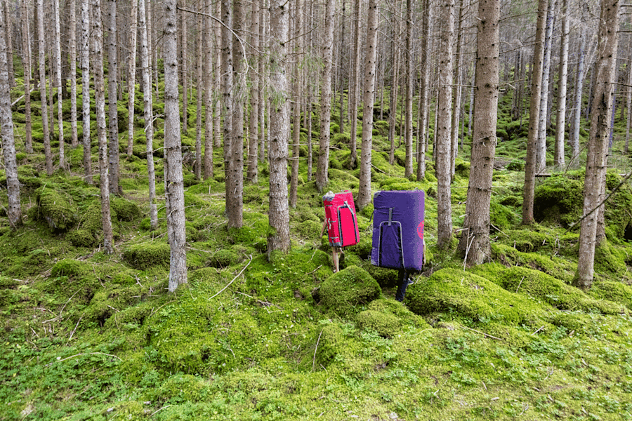 Zwei Männlein stehen im Walde...