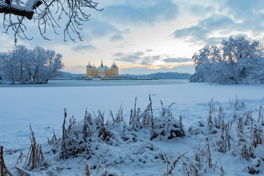 Schloss Moritzburg inmitten der zugefrorenen Teichlandschaft
