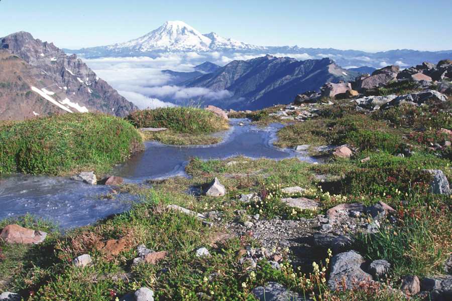 Pacific Crest Trail in den USA: Mount Rainier in Washington