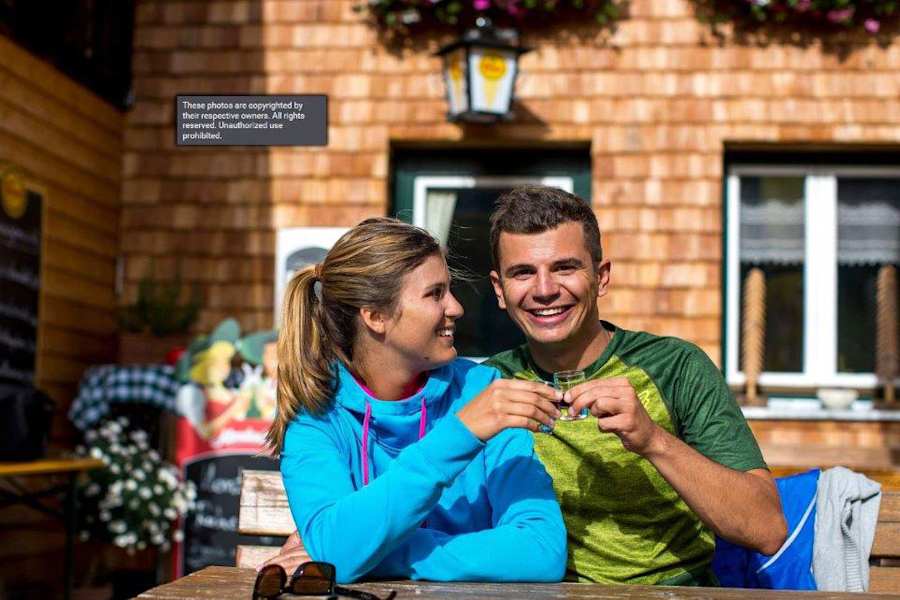 Zirben-Ernte: Hier gibt es den besten Zirbenschnaps