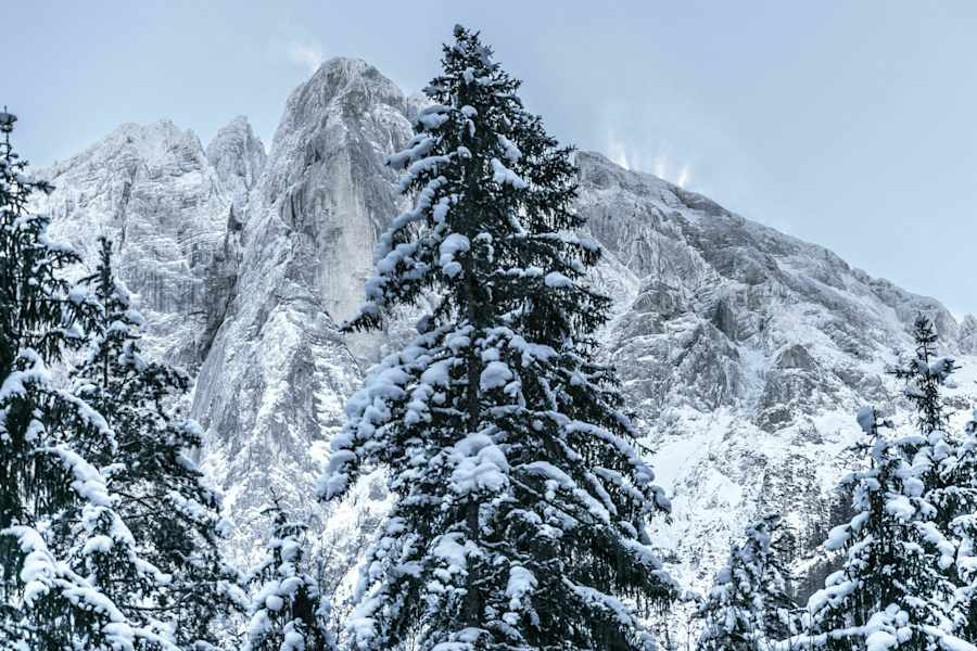 Winter im Nationalpark Gesäuse