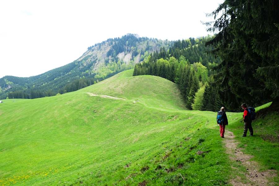 Nationalpark Kalkalpen: Streifzug durch die Wildnis