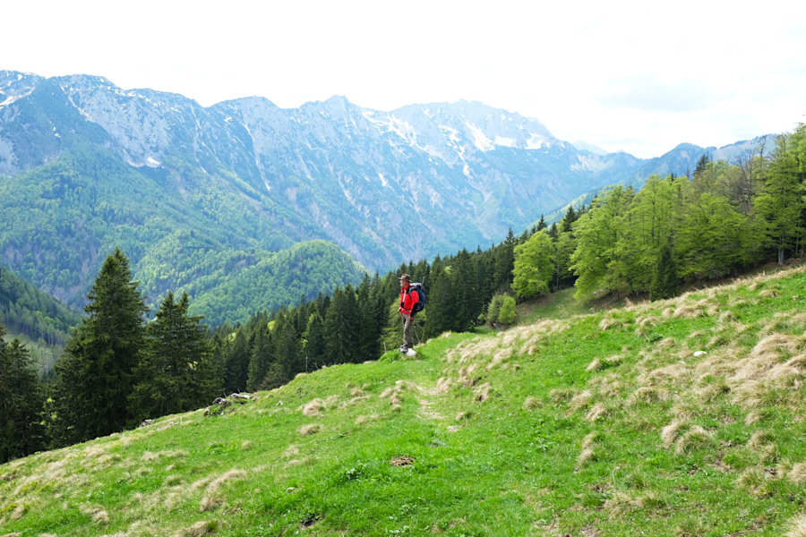 Nationalpark Kalkalpen mit Sengsengebirge im Hintergrund