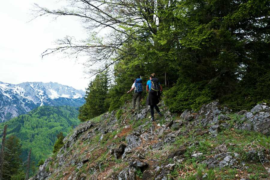 Nationalpark Kalkalpen: Streifzug durch die Wildnis