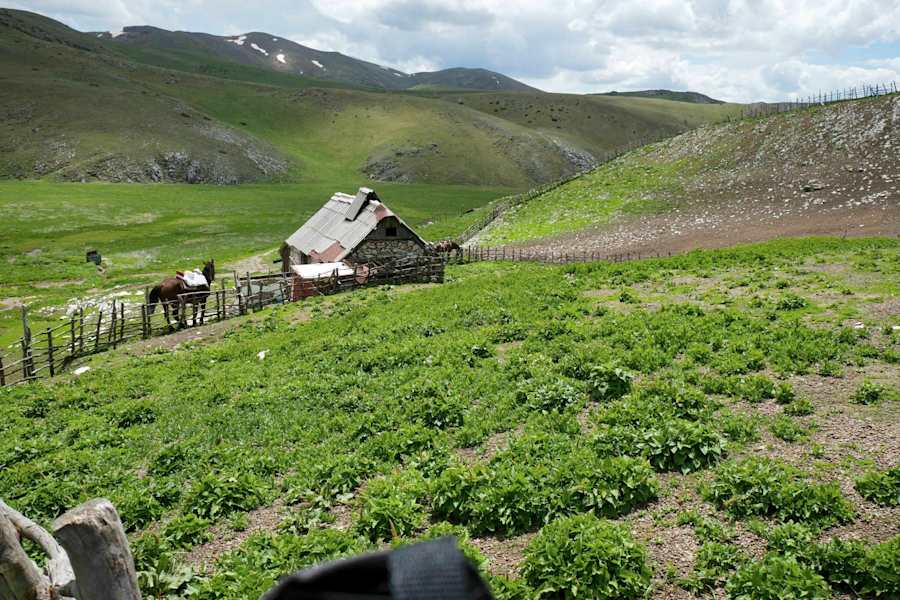 Die Entdeckung der Einsamkeit: Pferdereiten in Mazedonien