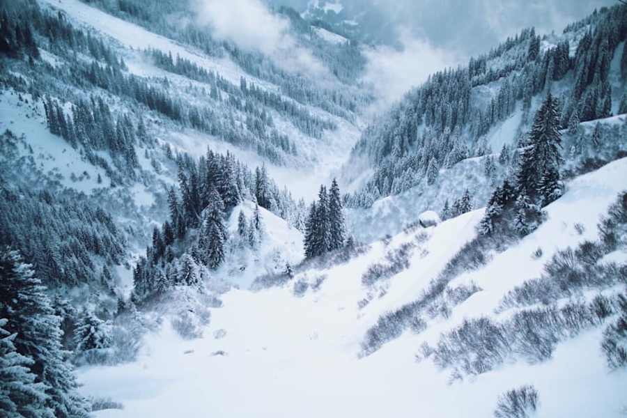 Unberührte Pulverschneehänge im Vorarlberger Montafon
