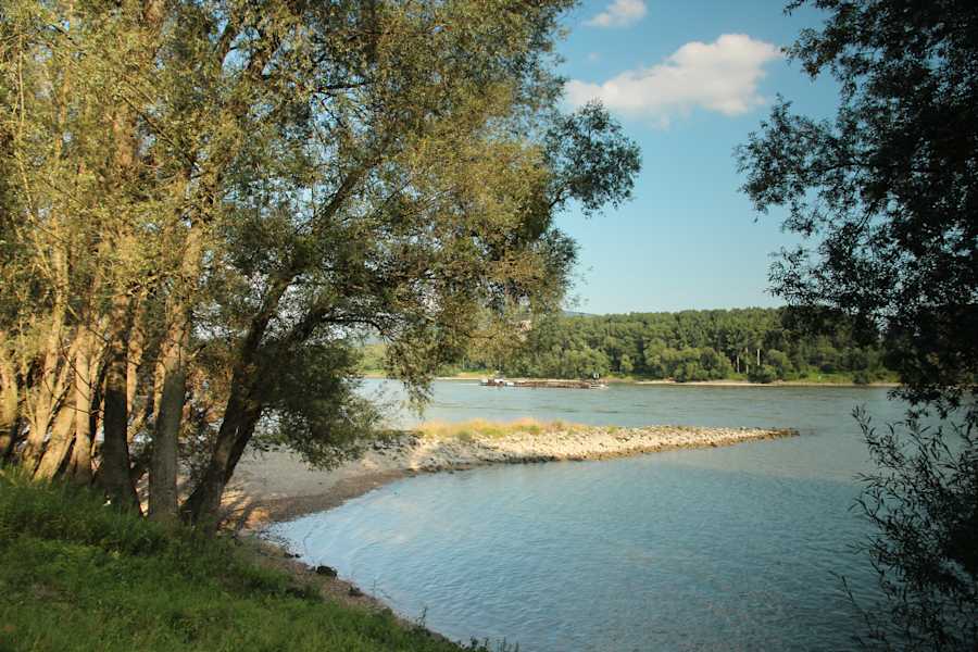 Donauufer Stopfenreuth