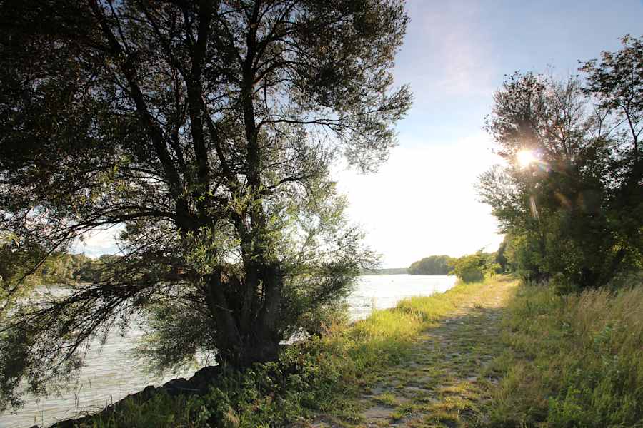 Wanderweg in der Schönau