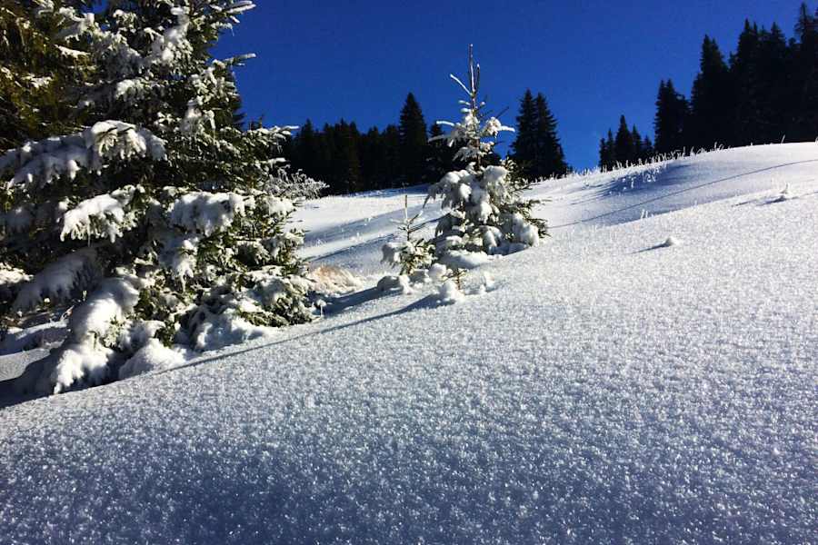 Transsilvanien: Munții Bârsei bei Brașov