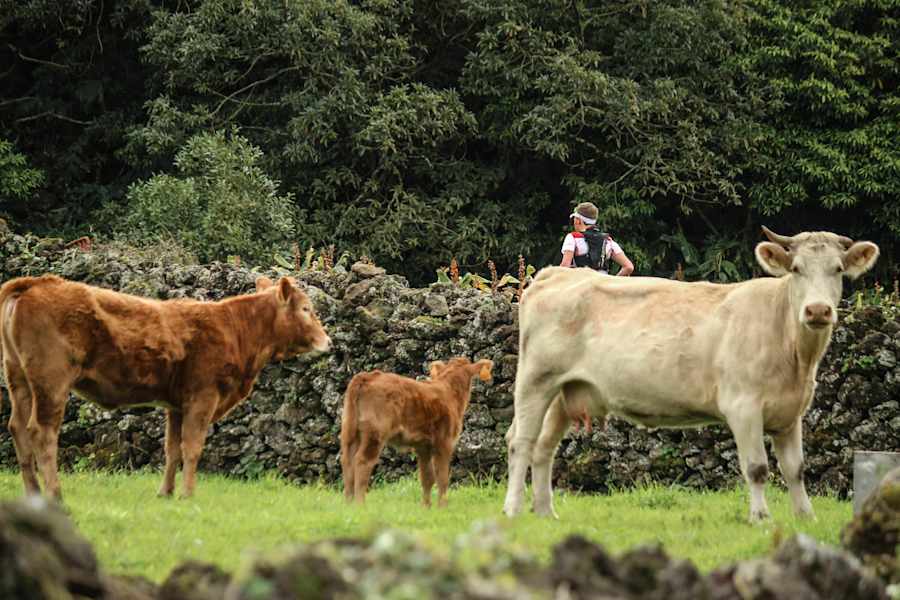 Montanha do Pico: Der höchste Berg Portugals