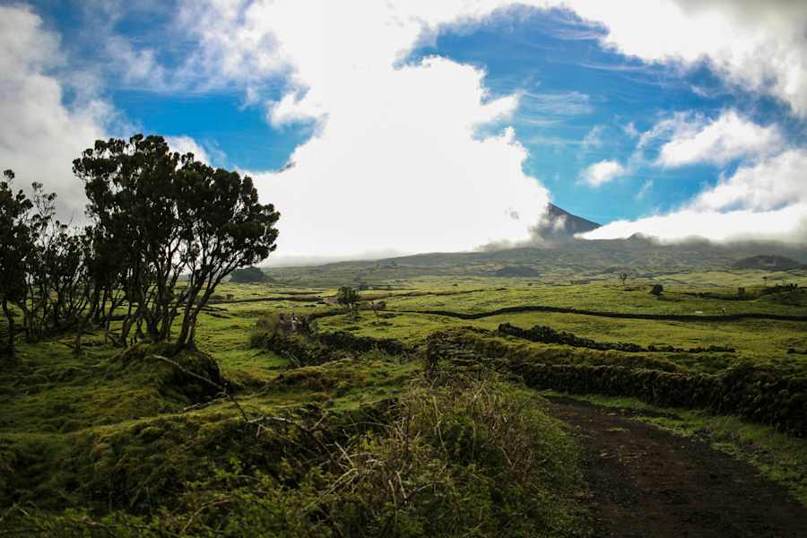 Montanha do Pico: Der höchste Berg Portugals
