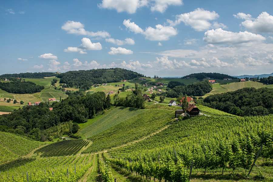 Ratsch liegt an der Südsteirischen Weinstraße.