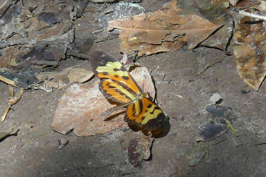 In der Umgebung von São Thomé das Letras