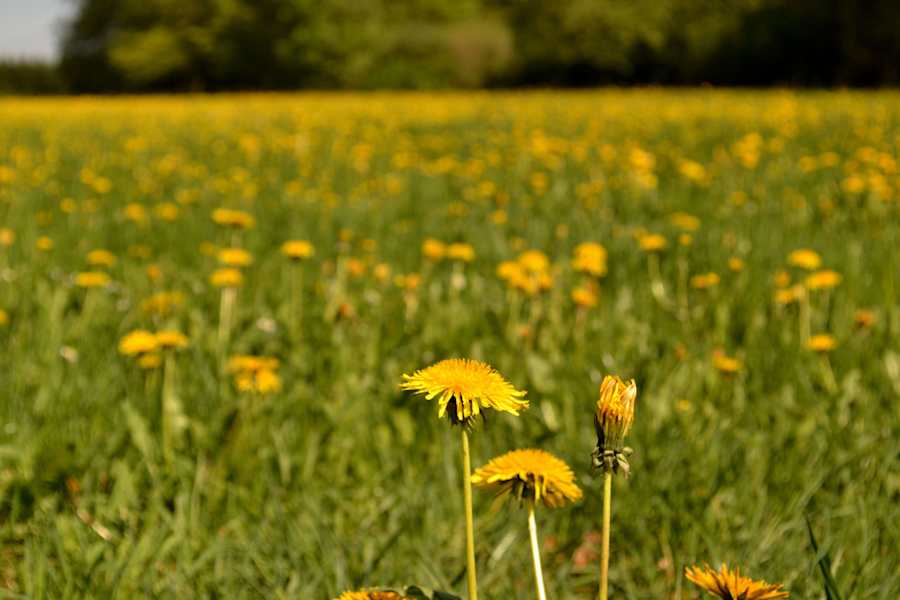 Schwäbische Alb bei der Schertelshöhle