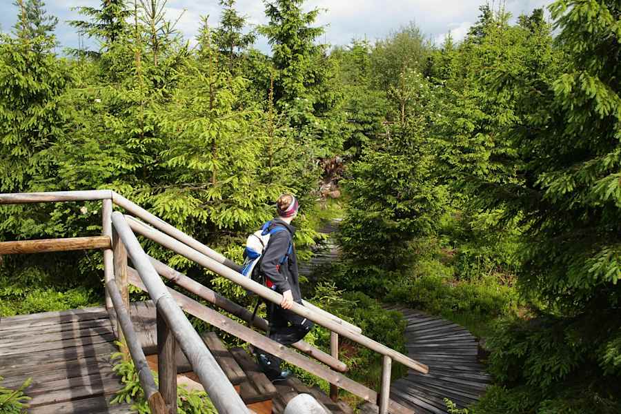 24 h Trophy: 24 Stunden wandern im Schwarzwald