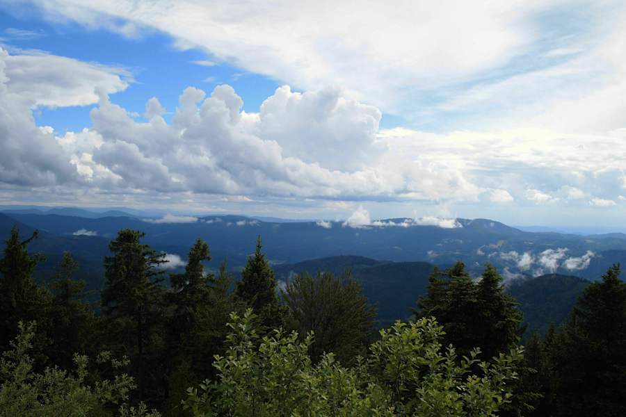 24 h Trophy: 24 Stunden wandern im Schwarzwald