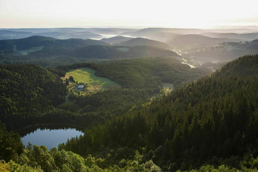 Unterwegs im Schwarzwald: Am Feldsee