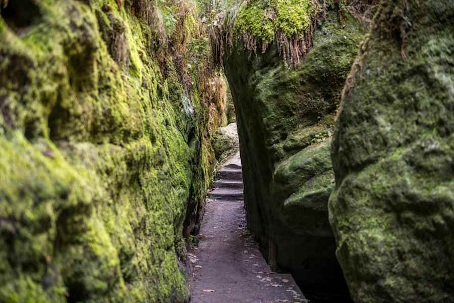 Am Malerweg in der Sächsischen Schweiz: Schwedenlöcher im Amselgrund