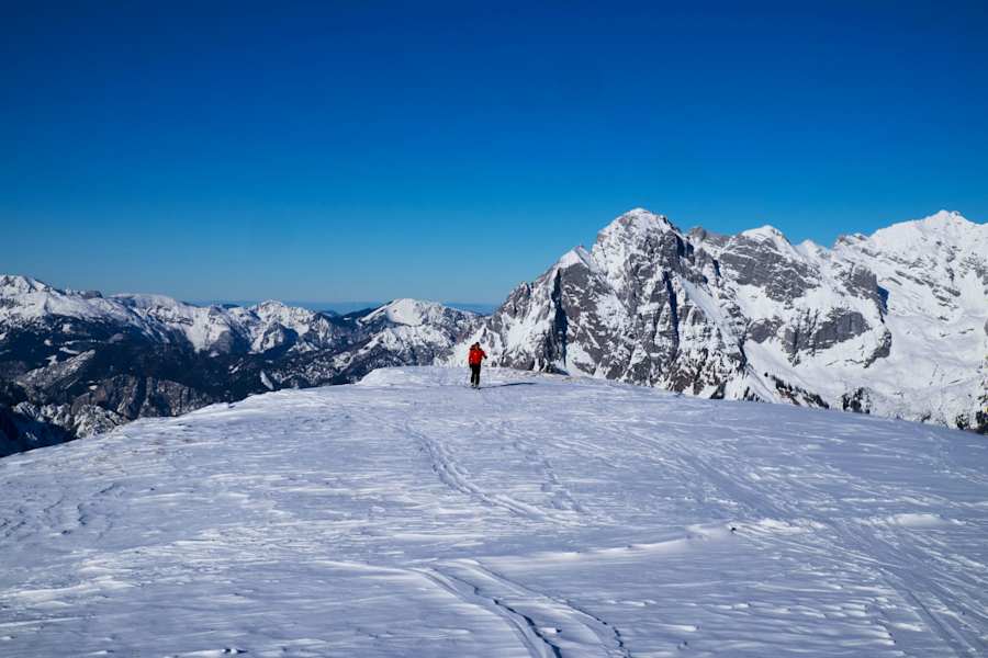 Skitour: Gipfelplateau des Blasenecks im Gesäuse