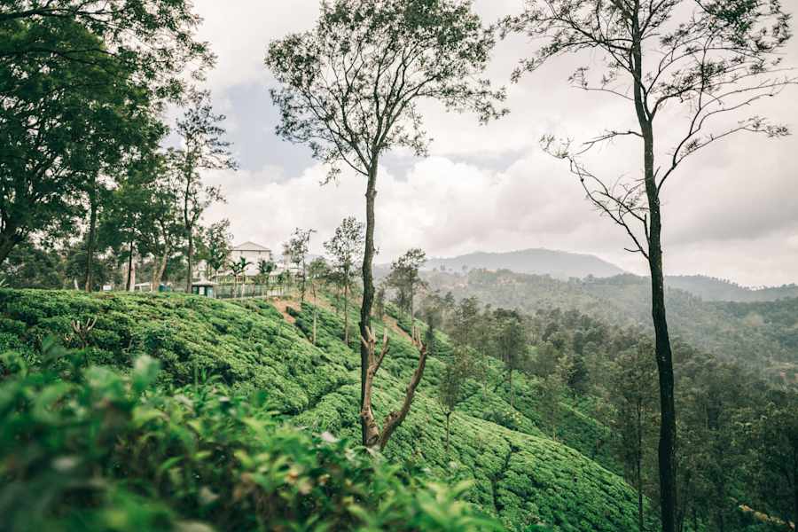 Indien Sri Lanka Fotostrecke