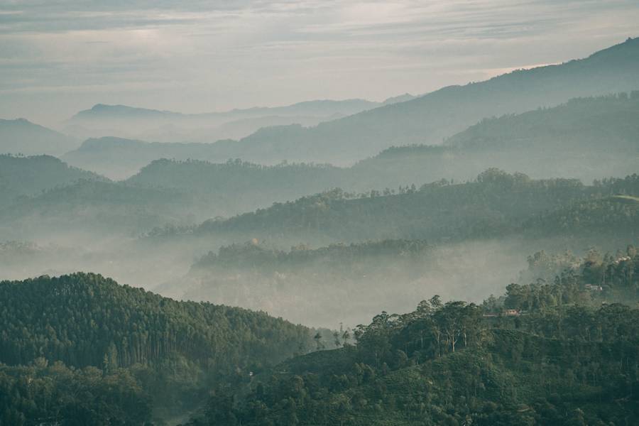 Indien Sri Lanka Fotostrecke