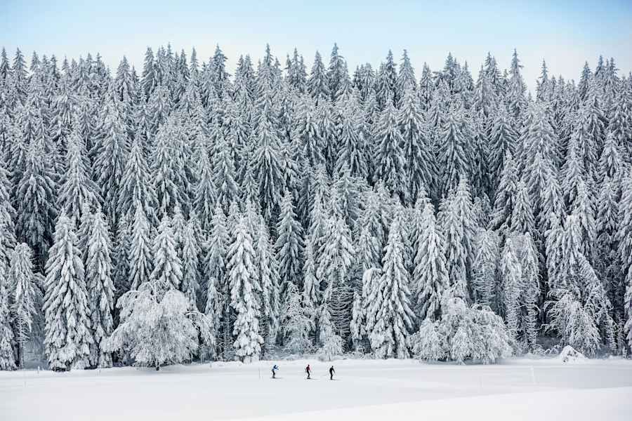 Naturpark Doubs bei La Chaux-de-Fonds